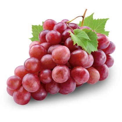 Obrázek UVA (hroznové víno) 2 x 3 KG
